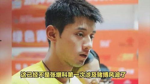 吃大瓜了娛樂圈,揭秘明星幕后故事