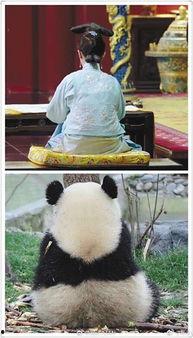 吃瓜群眾說娛樂,揭秘吃瓜群眾的八卦盛宴