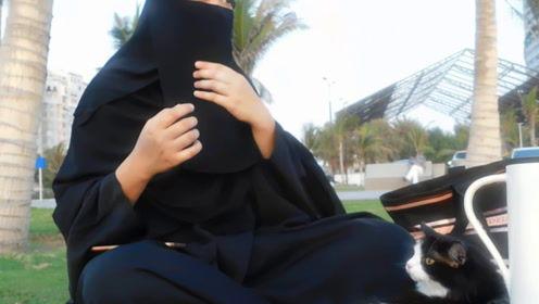 娛樂吃瓜君鏡頭,娛樂吃瓜君鏡頭下的娛樂圈風(fēng)云錄