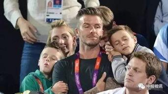 007娛樂吃瓜,揭秘娛樂圈的“吃瓜”盛宴