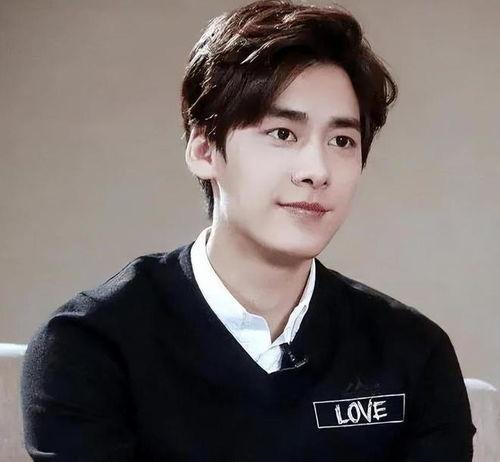 吃瓜娛樂圈李易峰,娛樂圈的瓜田明星