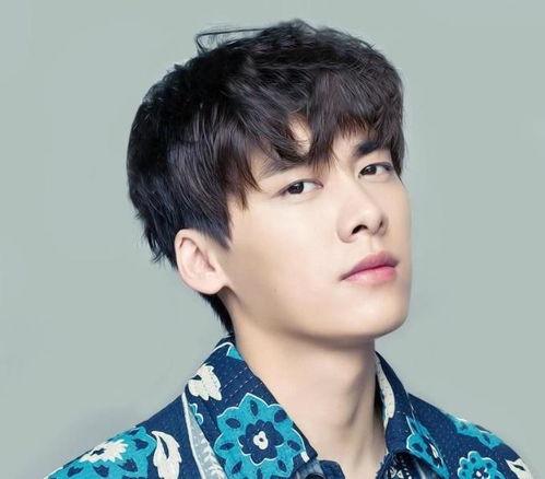 吃瓜娛樂圈李易峰,娛樂圈的瓜田明星