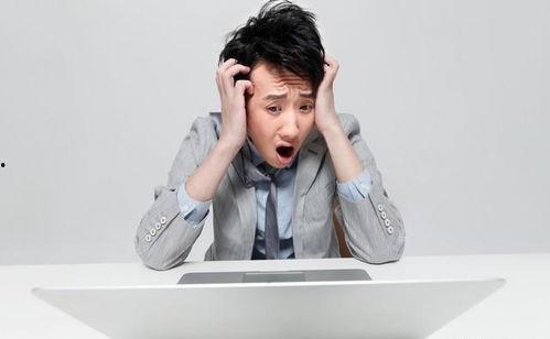 娛樂圈吃瓜爆料張頌文,娛樂圈爆料背后的真相與反思