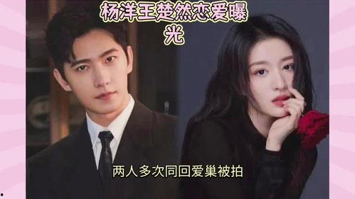 吃瓜直播間娛樂圈大瓜,揭秘吃瓜直播間大瓜背后的真相