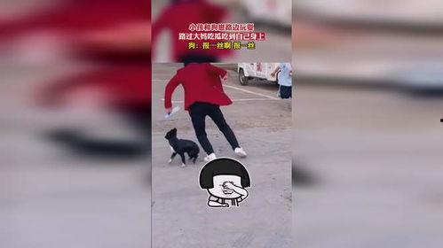 娛樂崽吃瓜,揭秘娛樂圈背后的那些事兒