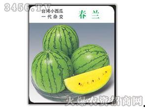 吃瓜娛樂圈小蘭花,娛樂圈的甜蜜瓜果，揭秘明星背后的故事