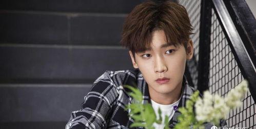 娛樂圈吃瓜爆料盧洋洋,揭秘背后真相與爭(zhēng)議