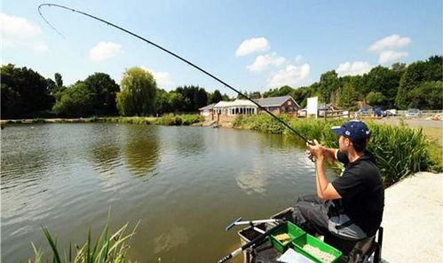 娛樂(lè)吃瓜君釣魚(yú),揭秘娛樂(lè)圈背后的秘密與八卦