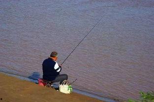 娛樂(lè)吃瓜君釣魚(yú),揭秘娛樂(lè)圈背后的秘密與八卦