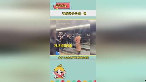 娛樂(lè)播報(bào)吃瓜是真的嗎視頻,娛樂(lè)播報(bào)背后的真相