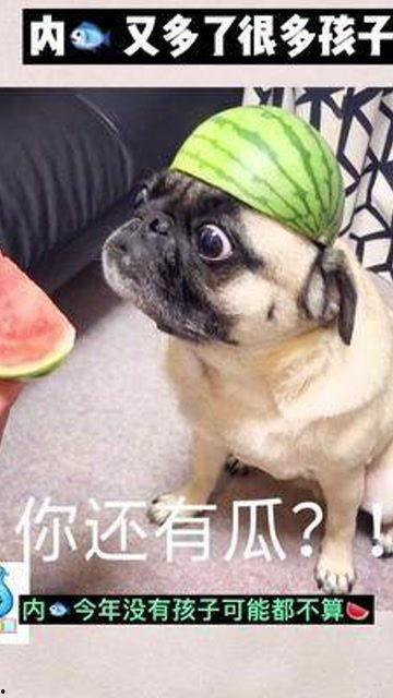 娛樂吃瓜醬寶寶,揭秘娛樂圈那些不為人知的幕后故事