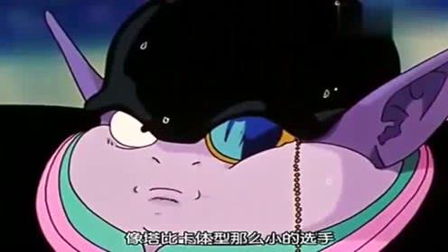 吃瓜娛樂小貓,小貓的吃瓜娛樂日記