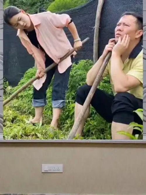 娛樂八卦一定是吃瓜群眾的,揭秘“吃瓜群眾”的娛樂八卦盛宴