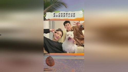 娛樂吃瓜抖音小游戲,娛樂狂歡，指尖上的瓜田盛宴