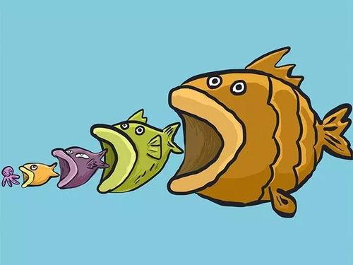 娛樂(lè)吃瓜醬可愛(ài)小魚(yú),可愛(ài)小魚(yú)帶你暢游娛樂(lè)圈