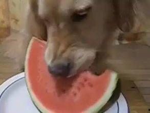 娛樂(lè)吃瓜汪,揭秘娛樂(lè)圈那些不為人知的幕后故事