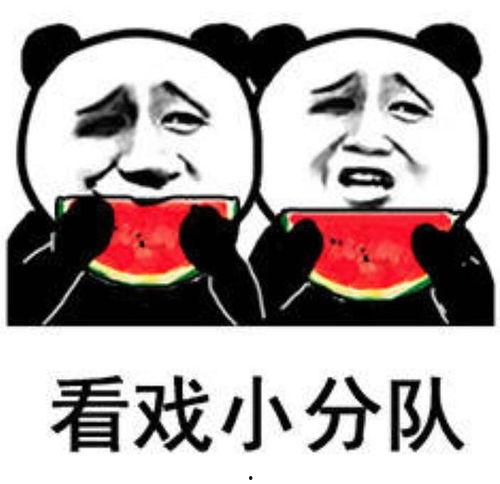 娛樂吃瓜群眾,揭秘明星幕后故事，吃瓜群眾狂歡時(shí)刻