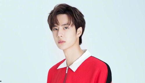 愛豆吃瓜娛樂醬陳曉,愛豆吃瓜娛樂醬，揭秘娛樂圈幕后故事