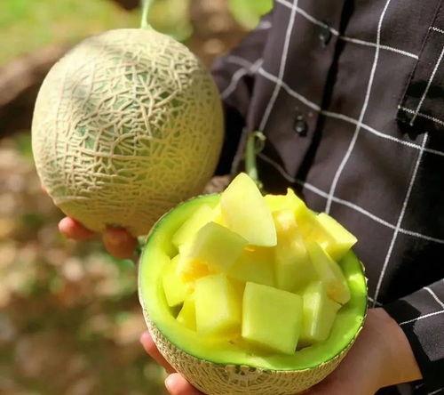 娛樂(lè)吃瓜切,揭秘明星幕后故事