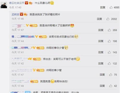 娛樂吃瓜醬評論區(qū),揭秘明星幕后故事，笑料百出