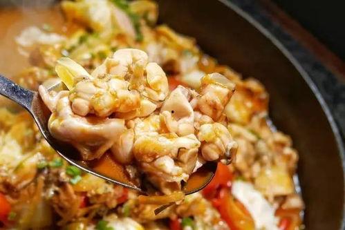 娛樂(lè)吃瓜醬牛蛙視頻,牛蛙視頻帶你領(lǐng)略美食與娛樂(lè)的完美融合