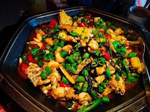 娛樂(lè)吃瓜醬牛蛙視頻,牛蛙視頻帶你領(lǐng)略美食與娛樂(lè)的完美融合