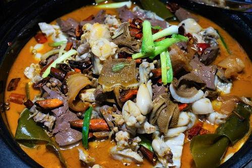 娛樂(lè)吃瓜醬牛蛙視頻,牛蛙視頻帶你領(lǐng)略美食與娛樂(lè)的完美融合