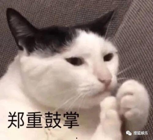 娛樂(lè)吃瓜醬不如貓,揭秘娛樂(lè)圈幕后那些事兒