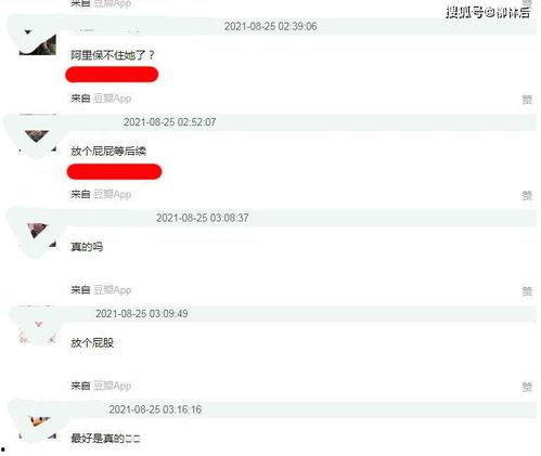 娛樂吃瓜醬文件傳輸,揭秘文件傳輸背后的精彩故事