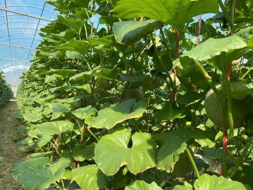 2022 娛樂(lè)吃瓜,年度吃瓜大事件盤(pán)點(diǎn)