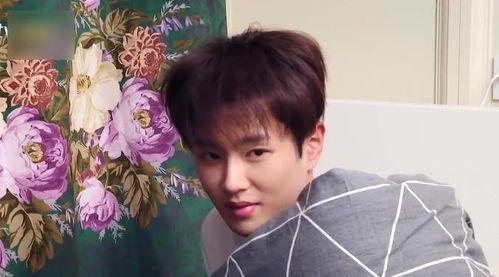 范丞丞娛樂吃瓜視頻大全,揭秘明星幕后趣事