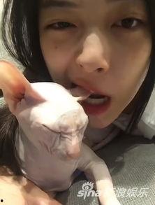 娛樂(lè)吃瓜醬虐貓,真相與反思