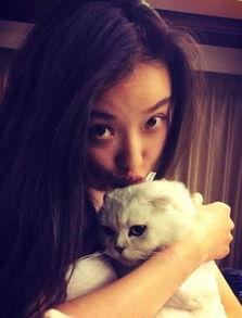 娛樂吃瓜醬虐貓,真相與反思