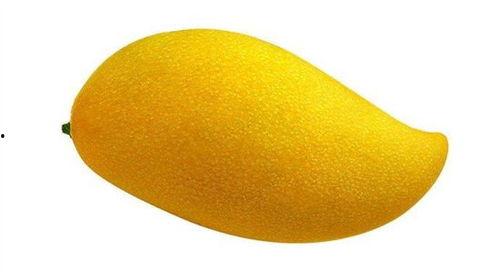 芒芒果娛樂吃瓜,揭秘娛樂圈最新“吃瓜”事件