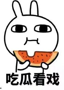 娛樂吃瓜醬石頭,石頭背后的故事與魅力揭秘