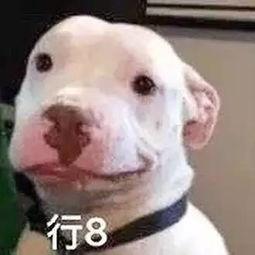 娛樂圈吃瓜微信公眾號,吃瓜群眾必看幕后真相！